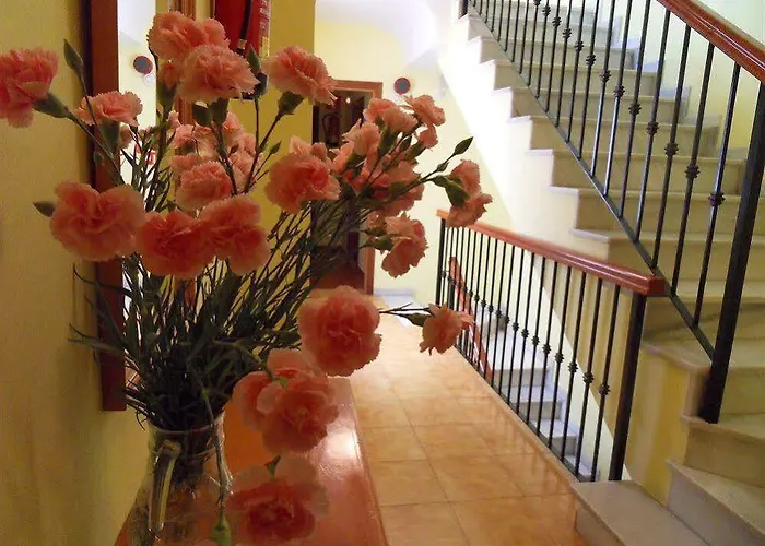 Marbella Hotell Fuengirola
